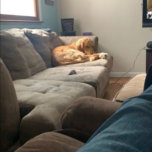 Meet your Posher, Jason